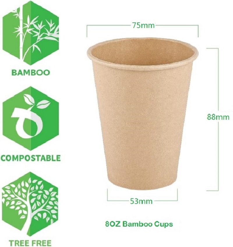 8 oz Bambu Elyaf Kağıt Bardakl - Bamboo Cutlery Travel incelemesi ve fiyatı